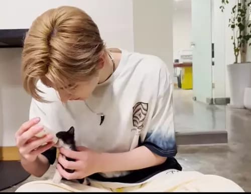 Sunghoon thumbnail
