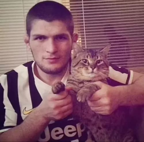 Khabib thumbnail