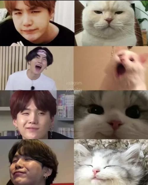 Cotik Miny Yonggi thumbnail