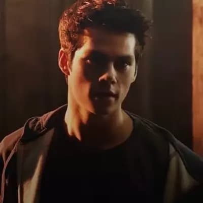 Void Stiles thumbnail