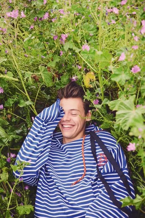 Harry styles  thumbnail