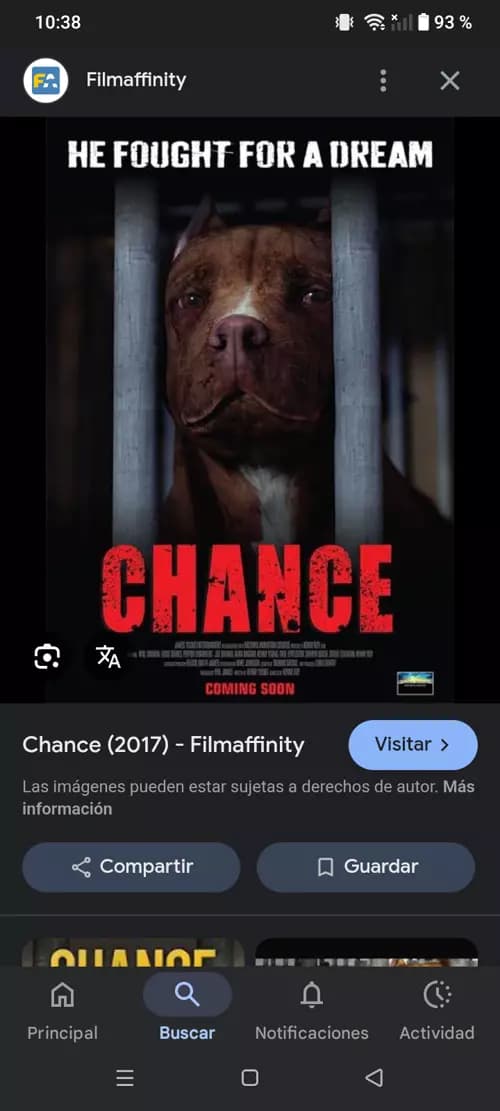 clandestine dog fights thumbnail