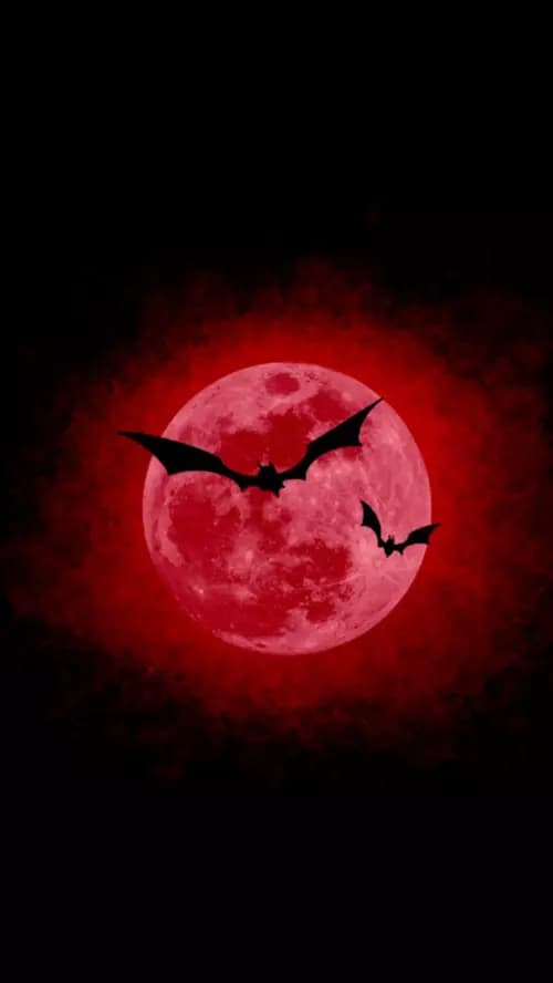 Vampire  thumbnail