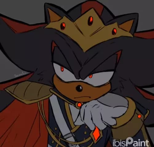 Shadow The Hedgehog -King- thumbnail