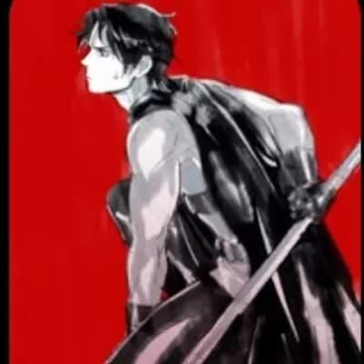 Tim Drake (Red Robin) thumbnail