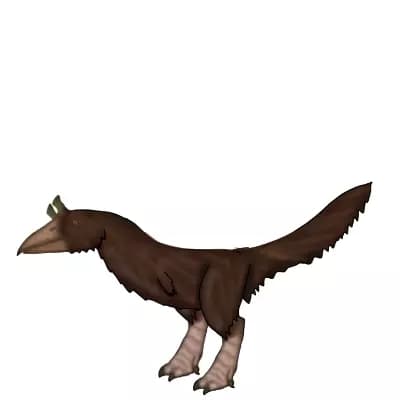 Speculative biologist  thumbnail