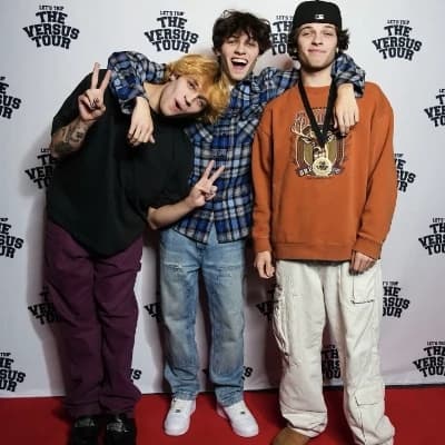 The Sturniolo Triplets  thumbnail