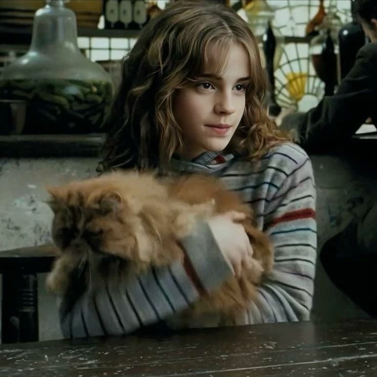 Hermione Granger thumbnail