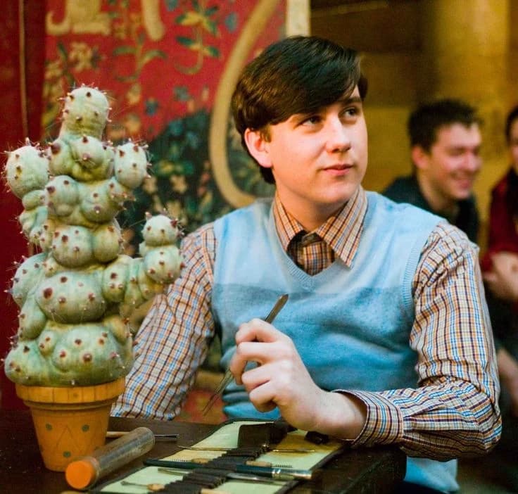 Neville Longbottom thumbnail