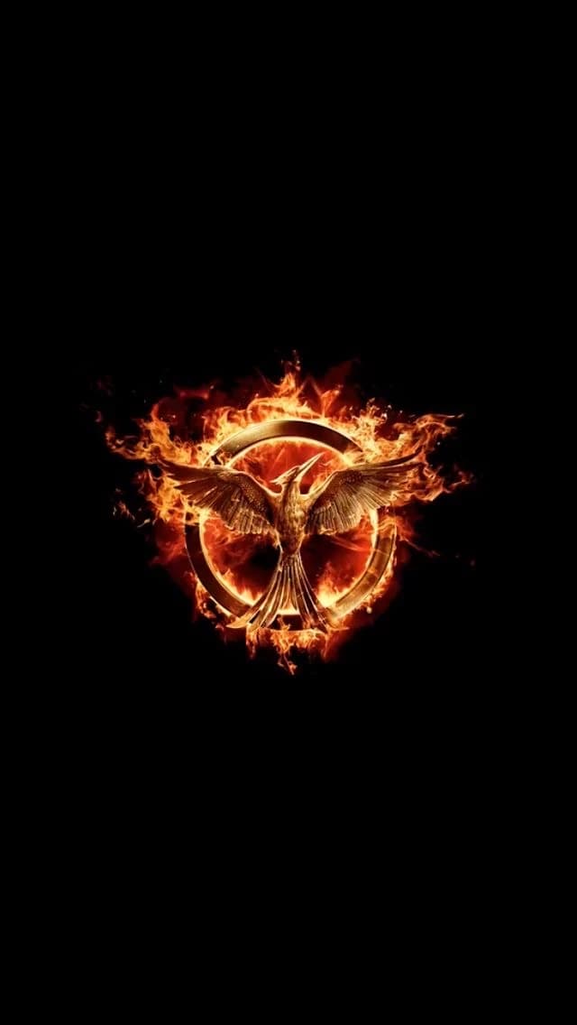 Hunger Games (Catching Fire) thumbnail