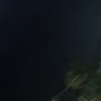 Lily thumbnail