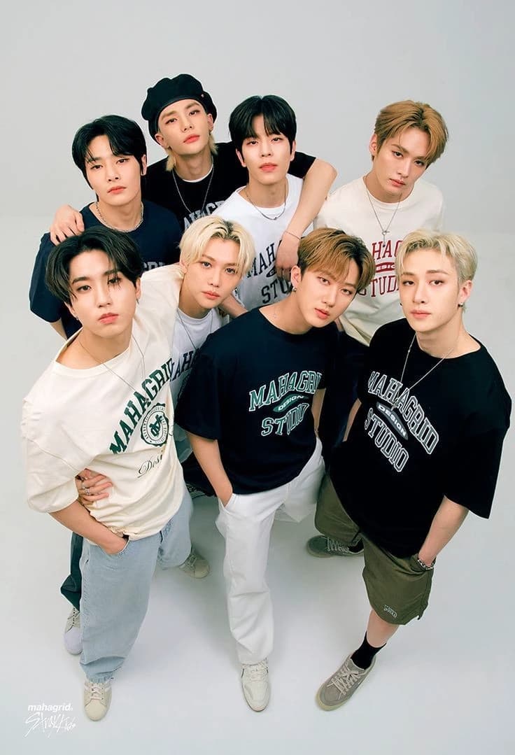 Stray Kids thumbnail