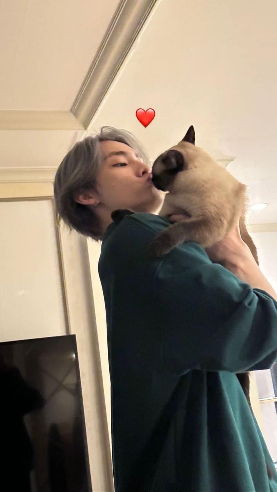 Xiao Jun thumbnail