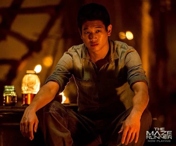 Minh. Wounding in the labyrinth thumbnail