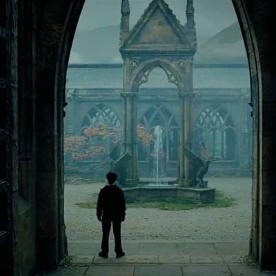 Harry Potter (Your sibling) thumbnail