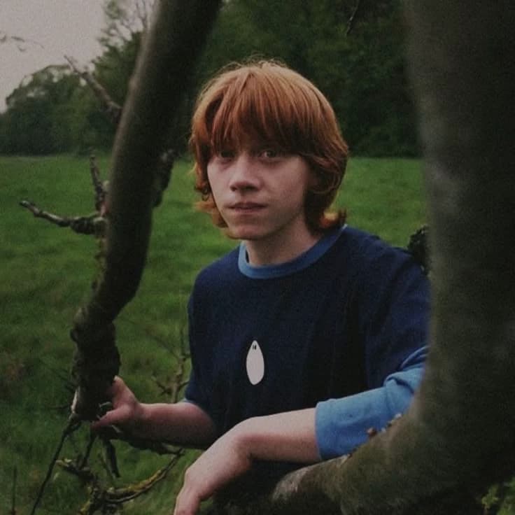 Ron Weasley thumbnail