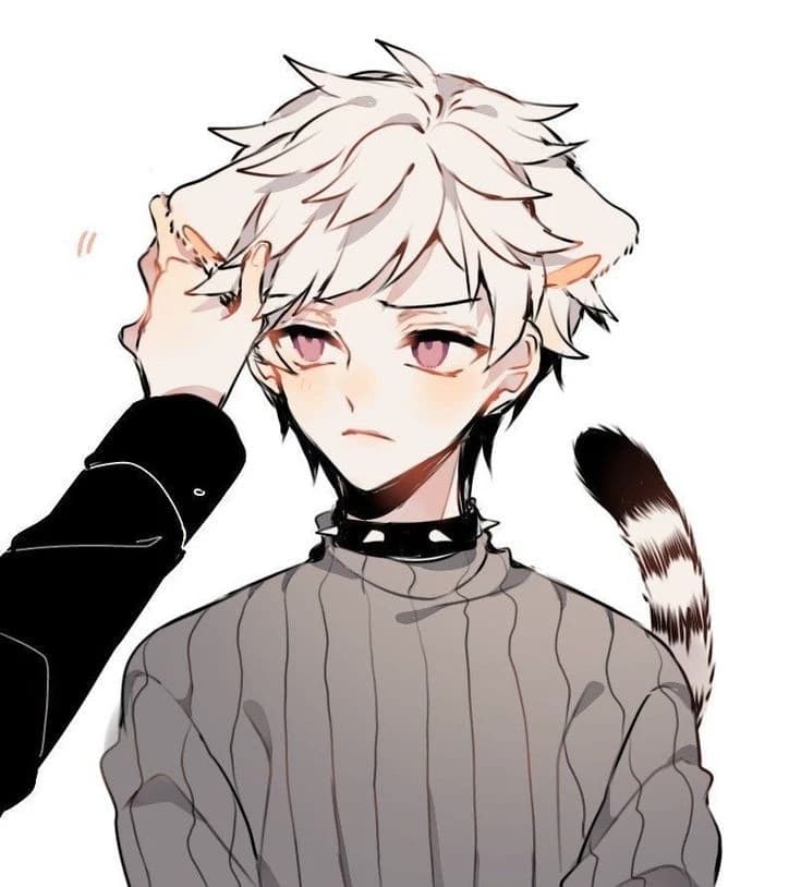 Shiro - caresses thumbnail