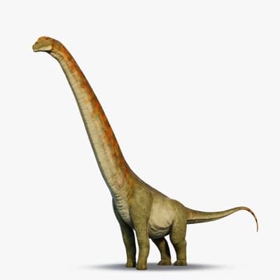 Agrentinosaurus thumbnail