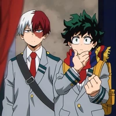 izuku y shoto thumbnail