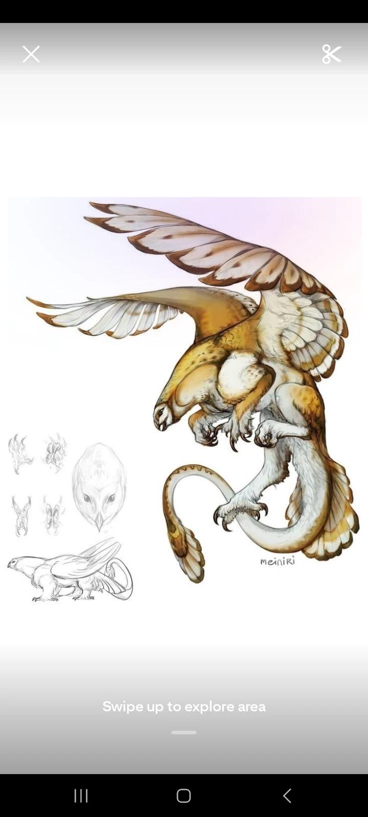 Owl harpy  thumbnail