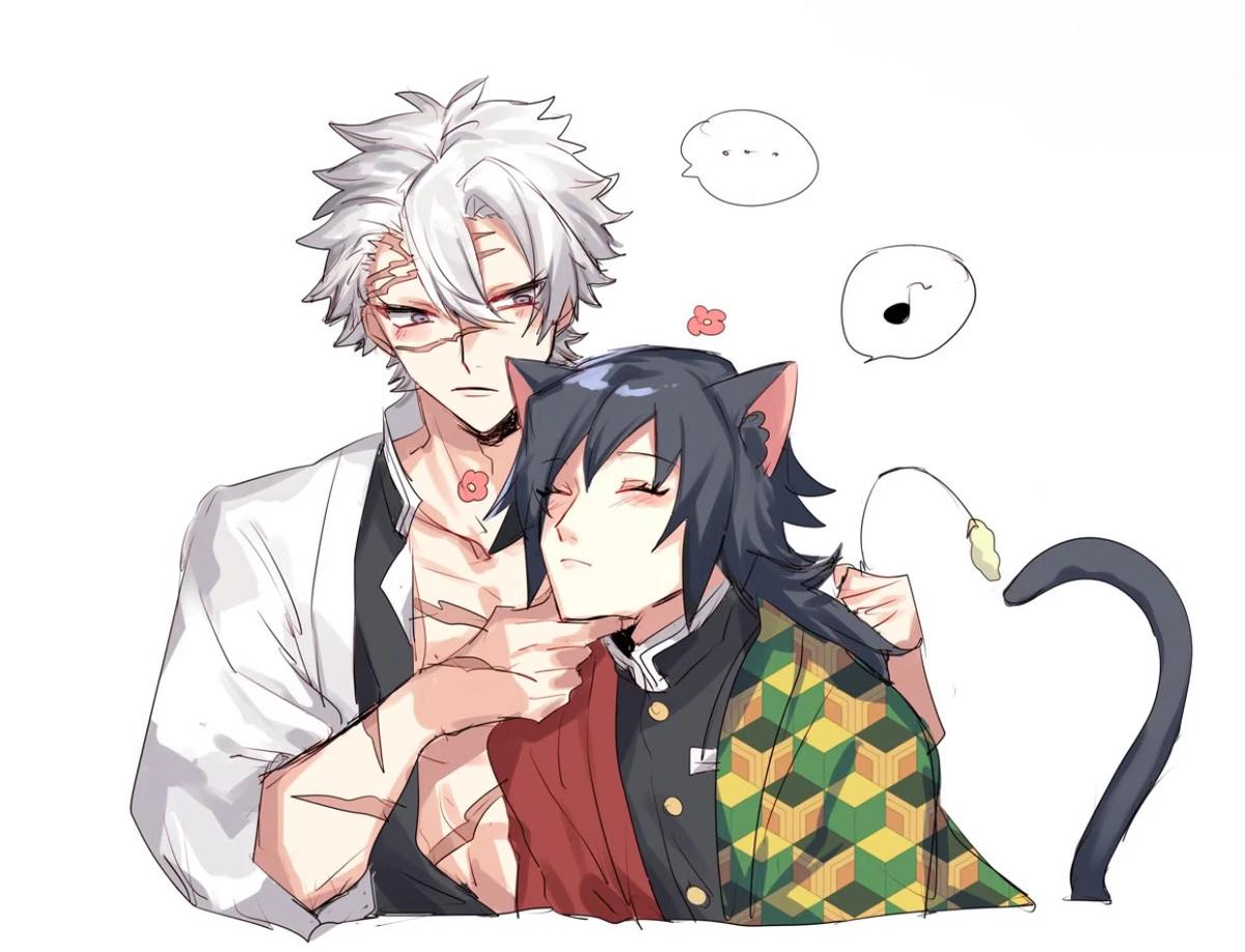 Shinazugawa sanemi (sanegiyu) thumbnail