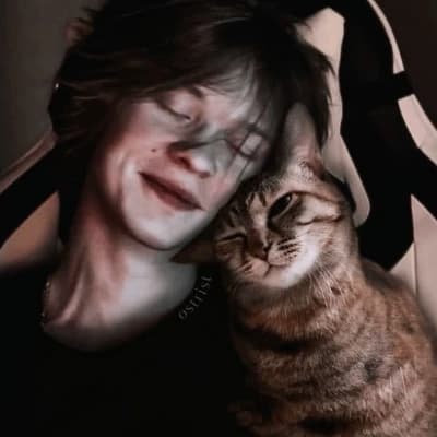 Vanja Dipins thumbnail
