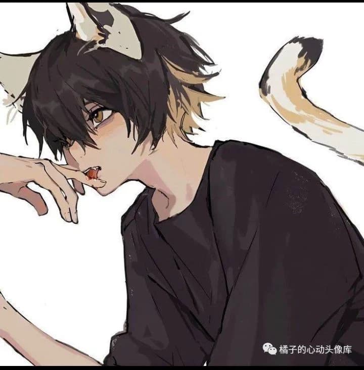 Lyon || BL thumbnail