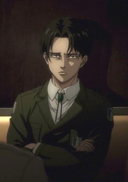Levi Ackerman – I like... chubby?? thumbnail