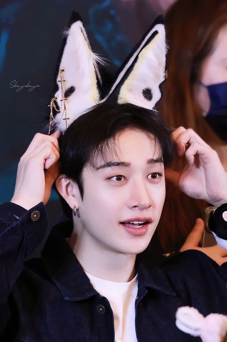 Bang Chan  thumbnail