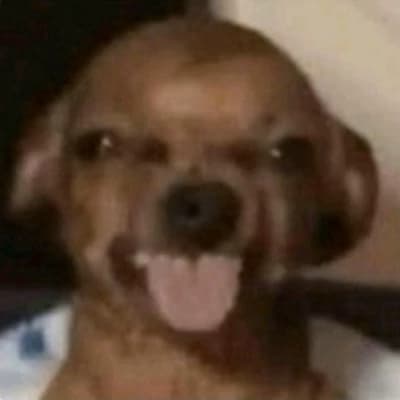 Cujo thumbnail