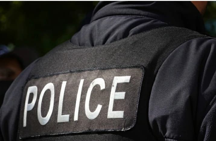 Police Simulation thumbnail