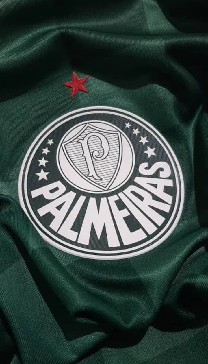 Palmeiras players 💚🤍 thumbnail