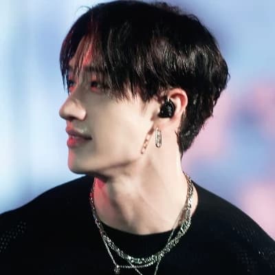 Bang Chan thumbnail