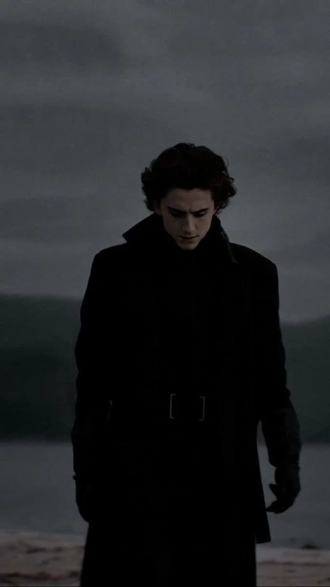 Regulus Black || BL thumbnail