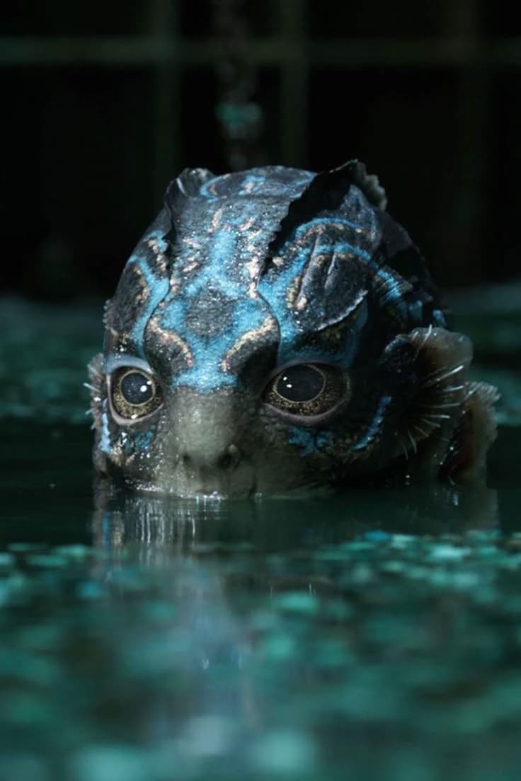 ˖⁺⊹˖⁺⊹ of the movie: the shape of water 🫧˖⁺⊹🫧˖⁺⊹ thumbnail