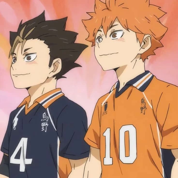Hinata e Nishinoya thumbnail