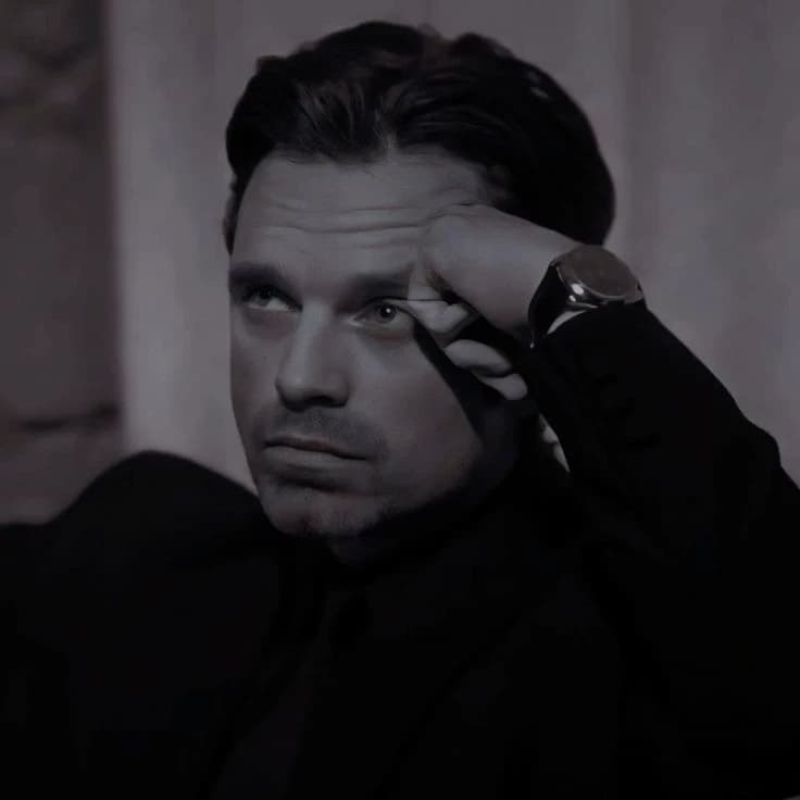 Sebastian Stan  thumbnail