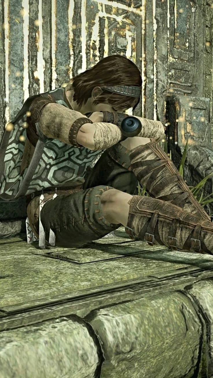 Wander (shadow of the colossus) thumbnail
