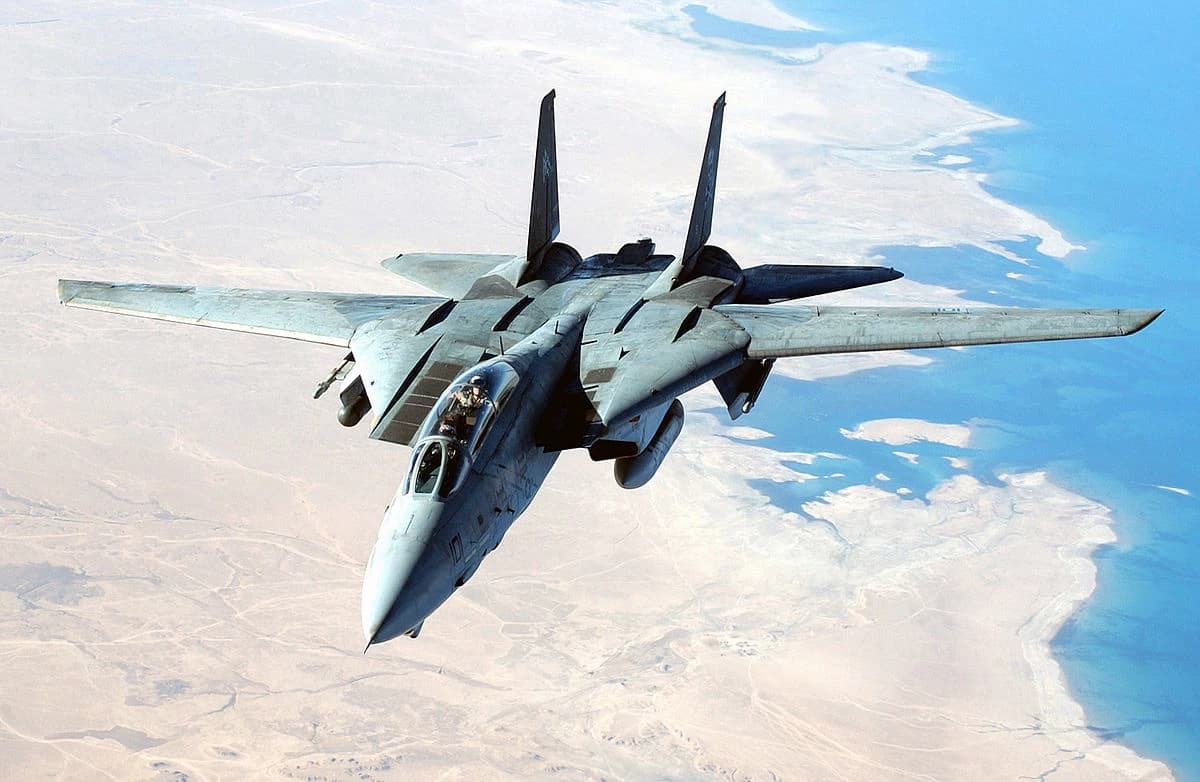 F-14 Tomcat (female version). thumbnail