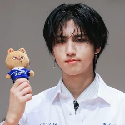 Stray Kids (Lee Minho, Lee Felix, Hwang Hyunjin, Yang Jeongin) thumbnail