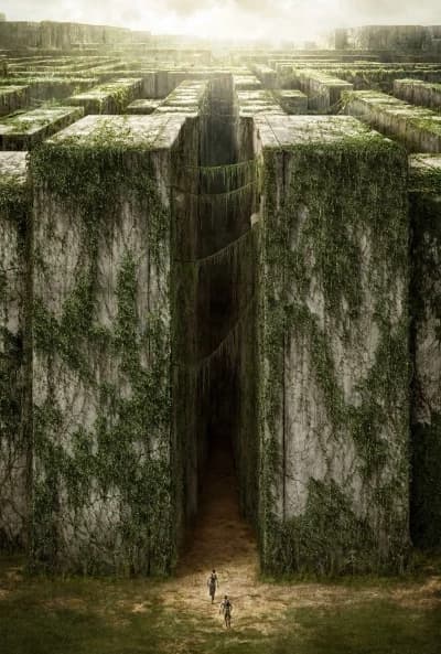 The labyrinth thumbnail