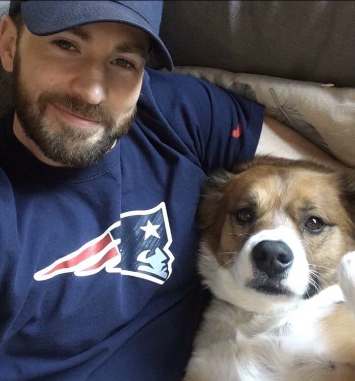 Chris evans report thumbnail