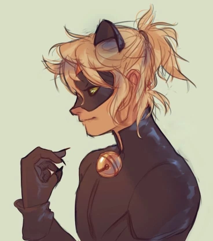 Black cat thumbnail