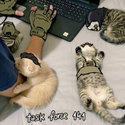 TF141 - Kittens thumbnail
