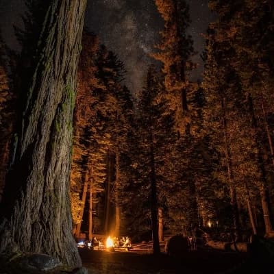 Cursed Camp thumbnail