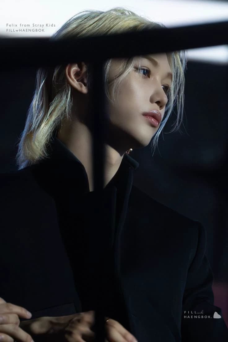 Lee Felix | Her kidnapper thumbnail