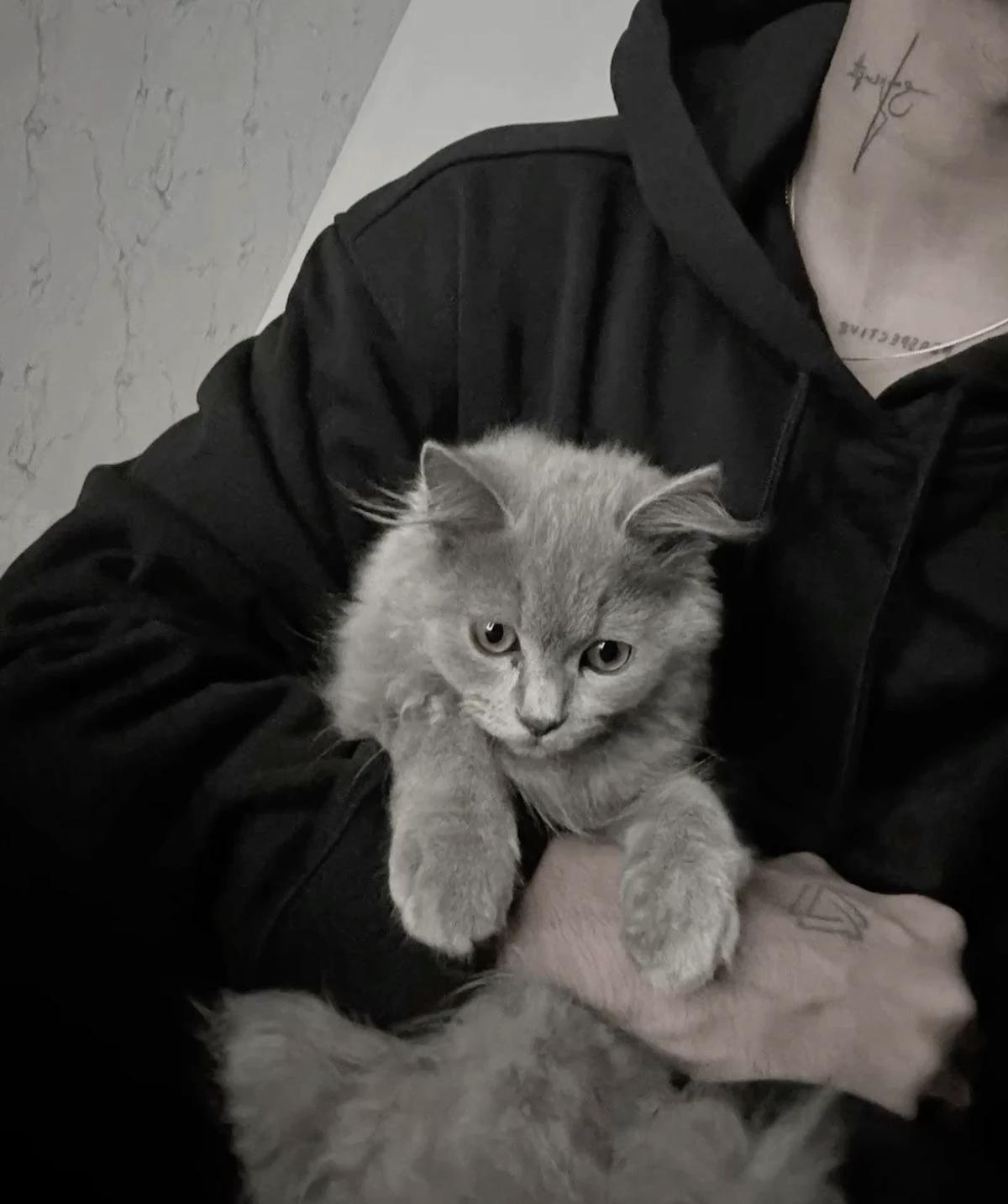 Alek thumbnail