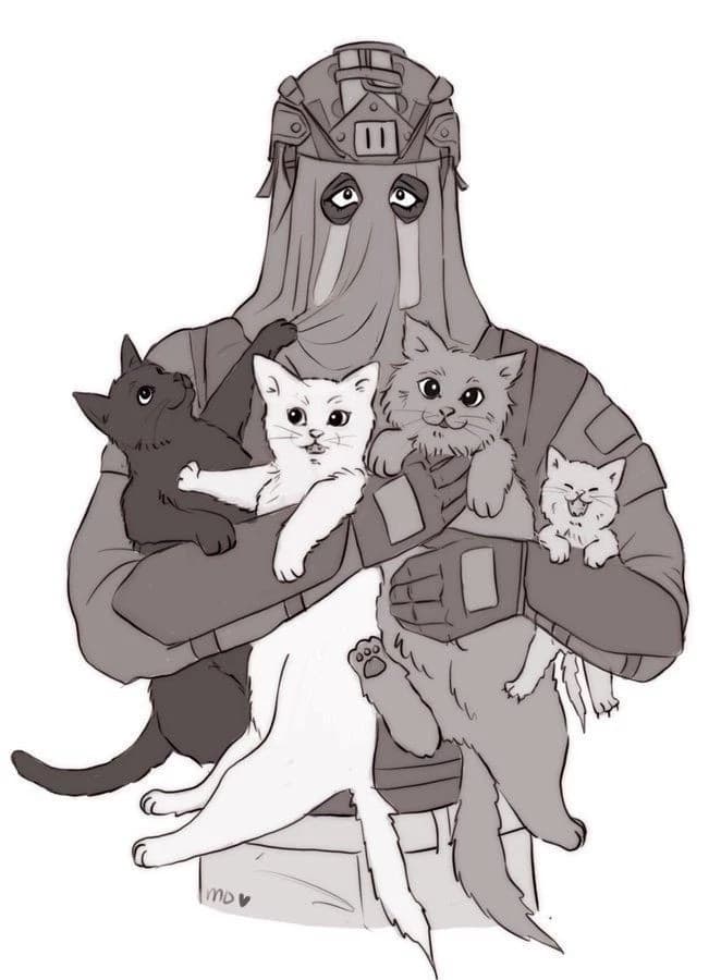 König thumbnail