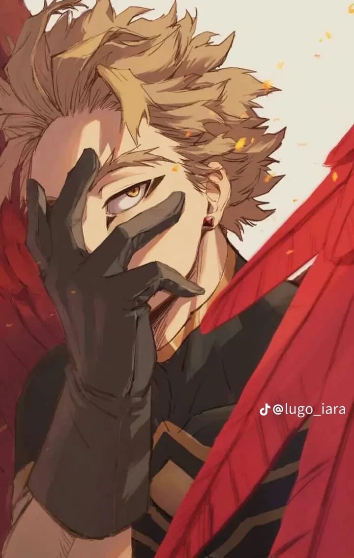 Hawks thumbnail