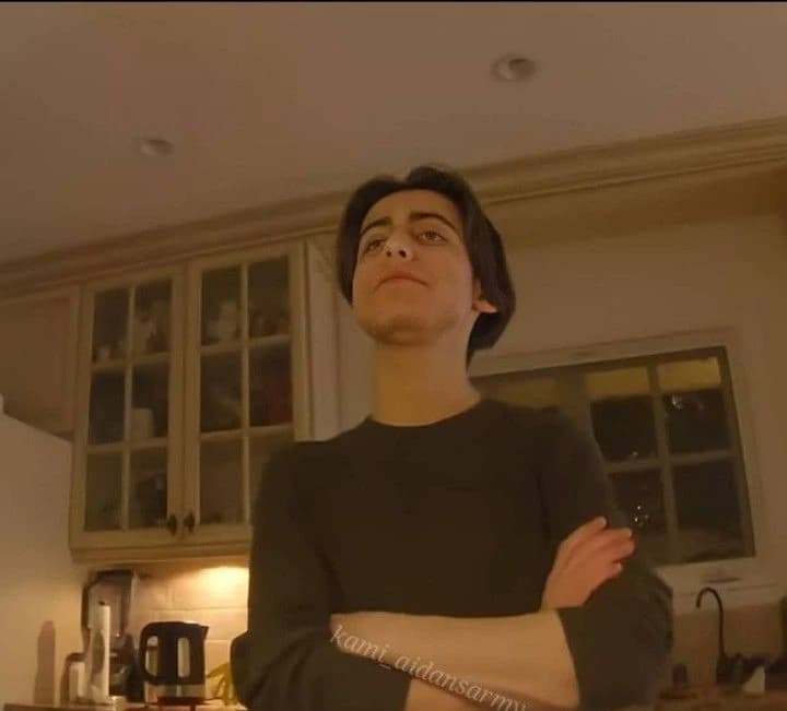 Aidan Gallagher thumbnail